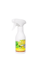 Kala Chanti - Zielona herbata z gruszką 250 ml