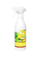 Kala Chanti - Zielona herbata z gruszką 500 ml